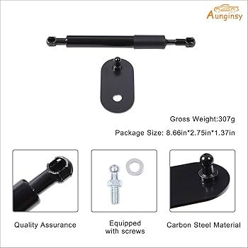 Amazon.com: Truck Tailgate Assist Shock Strut Compatible